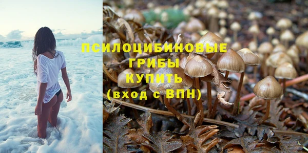 mdpv Баксан