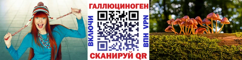 kraken как зайти  Боготол  Галлюциногенные грибы Magic Shrooms 