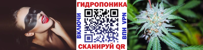 Конопля гибрид  hydra ссылки  Боготол  купить наркоту 